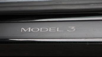 Tesla Model 3 ALL MODELS