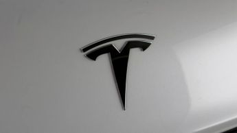 Tesla Model 3 ALL MODELS