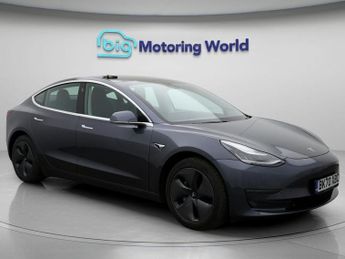 Tesla Model 3 ALL MODELS