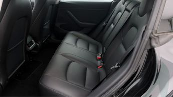 Tesla Model 3 ALL MODELS