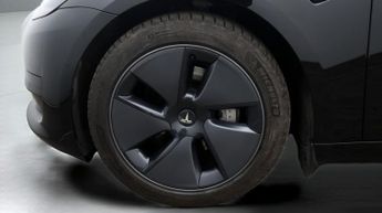 Tesla Model 3 ALL MODELS