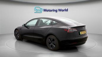 Tesla Model 3 ALL MODELS