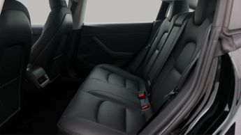 Tesla Model 3 ALL MODELS