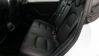 Tesla Model 3 ALL MODELS