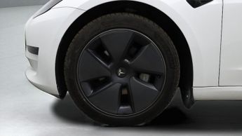 Tesla Model 3 ALL MODELS