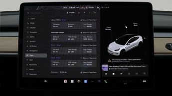 Tesla Model 3 ALL MODELS