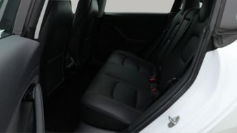 Tesla Model 3 ALL MODELS