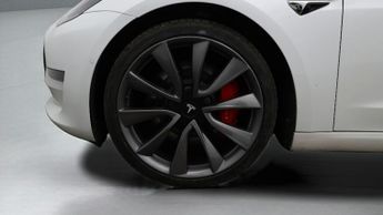 Tesla Model 3 ALL MODELS