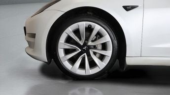 Tesla Model 3 ALL MODELS