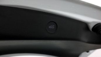 Tesla Model 3 ALL MODELS