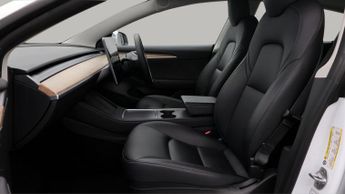 Tesla Model 3 ALL MODELS