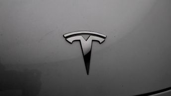 Tesla Model 3 ALL MODELS