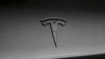 Tesla Model 3 ALL MODELS
