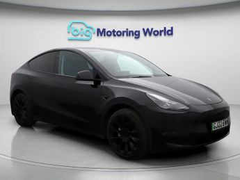 Tesla Model Y ALL MODELS