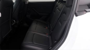 Tesla Model Y ALL MODELS