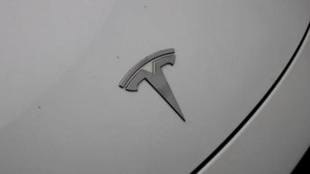 Tesla Model Y ALL MODELS