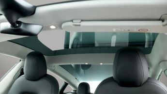 Tesla Model 3 ALL MODELS