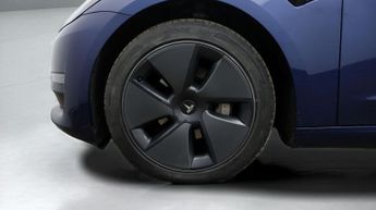 Tesla Model 3 ALL MODELS