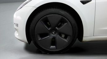 Tesla Model 3 ALL MODELS