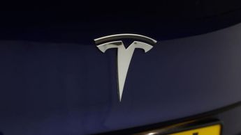 Tesla Model 3 ALL MODELS