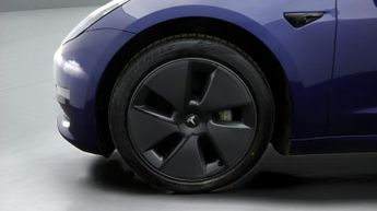 Tesla Model 3 ALL MODELS