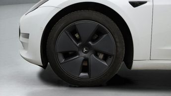 Tesla Model 3 ALL MODELS