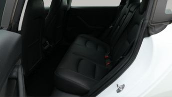 Tesla Model 3 ALL MODELS