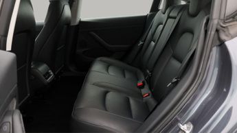 Tesla Model 3 ALL MODELS