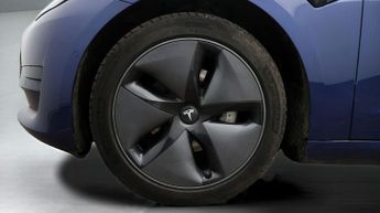 Tesla Model 3 ALL MODELS