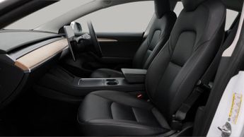 Tesla Model 3 ALL MODELS