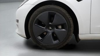 Tesla Model 3 ALL MODELS