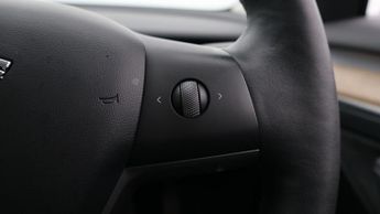 Tesla Model 3 ALL MODELS