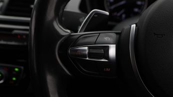 BMW X2 SDRIVE20I M SPORT X