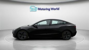 Tesla Model 3 ALL MODELS