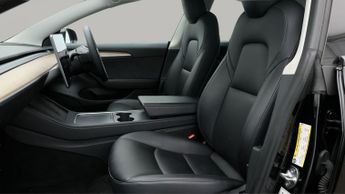 Tesla Model 3 ALL MODELS