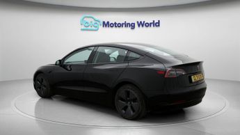 Tesla Model 3 ALL MODELS