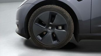 Tesla Model 3 ALL MODELS