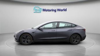 Tesla Model 3 ALL MODELS