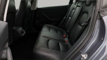 Tesla Model 3 ALL MODELS