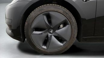 Tesla Model 3 ALL MODELS