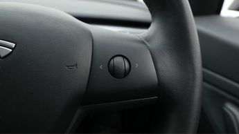 Tesla Model 3 ALL MODELS