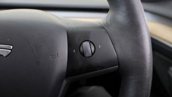 Tesla Model 3 ALL MODELS