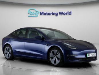 Tesla Model 3 ALL MODELS