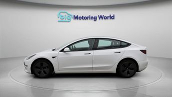 Tesla Model 3 ALL MODELS