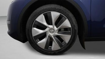 Tesla Model Y ALL MODELS