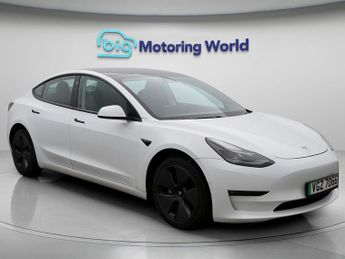 Tesla Model 3 ALL MODELS