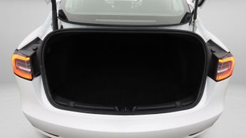 Tesla Model 3 ALL MODELS