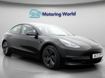 Tesla Model 3 ALL MODELS