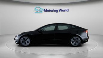 Tesla Model 3 ALL MODELS