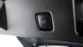 Ford Kuga ST-LINE X EDITION